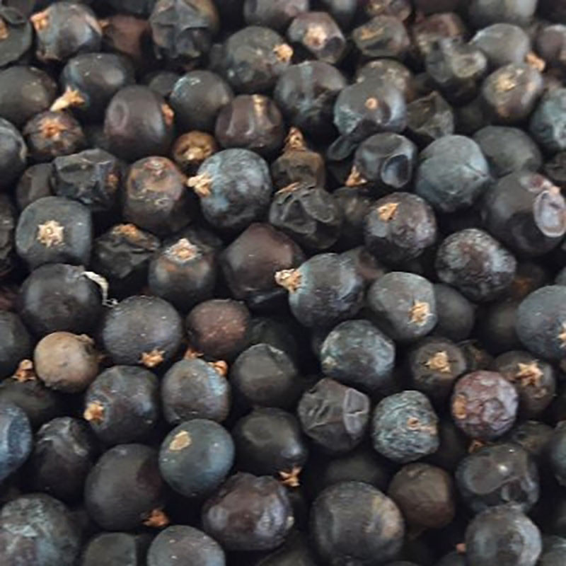 ENEBRO EUROPEO EN BAYAS BOTE 6/80gr